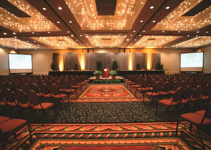 Hotel Doubletree By Hilton Chicago -