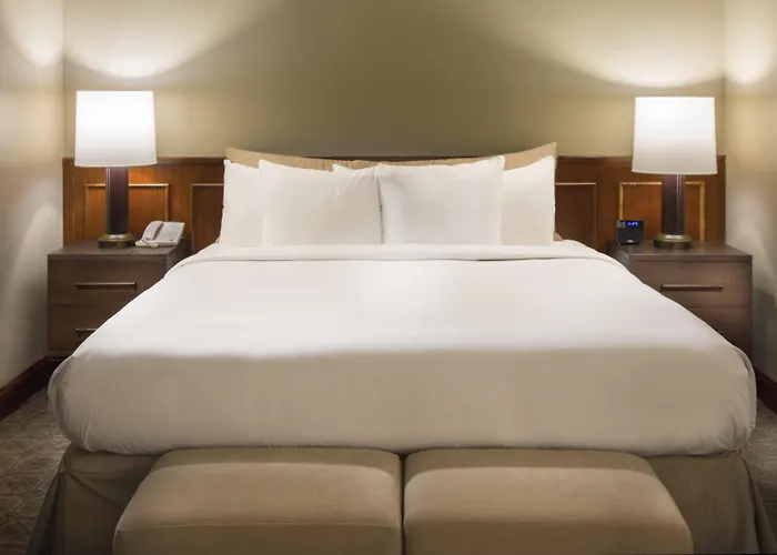 Hotel Doubletree By Hilton Chicago -