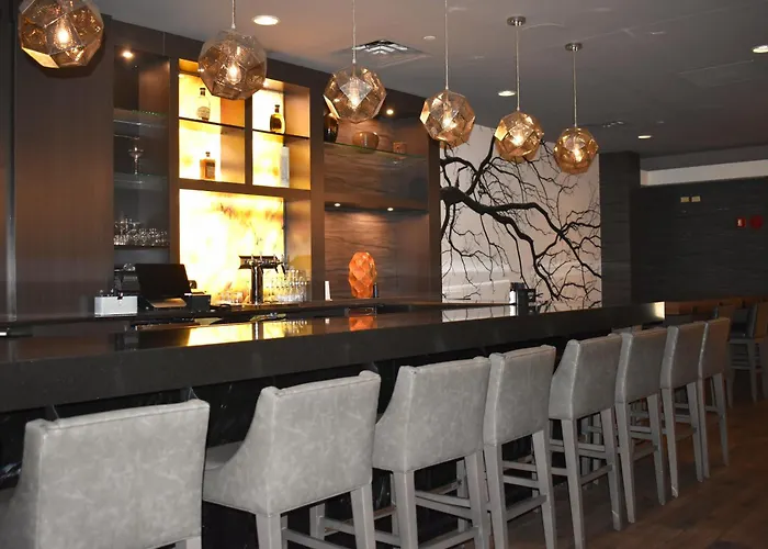 Doubletree By Hilton Chicago - 3* Oak Brook