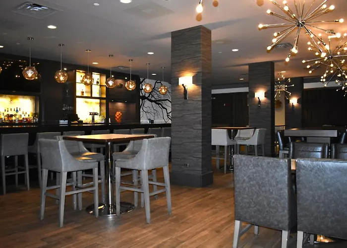 Hotel Doubletree By Hilton Chicago -