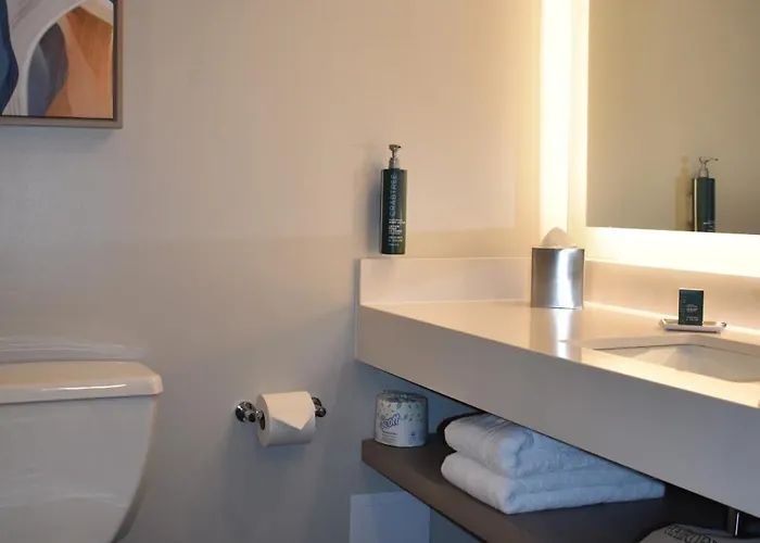 Doubletree By Hilton Chicago -