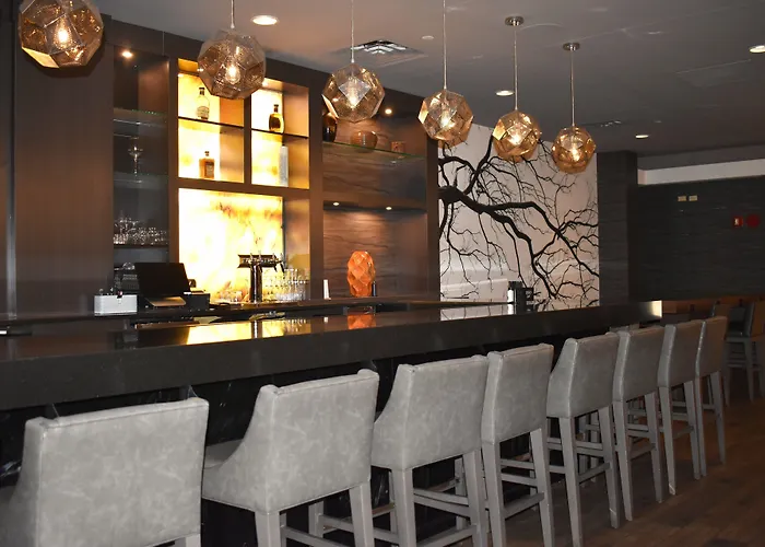 Doubletree By Hilton Chicago - 3*