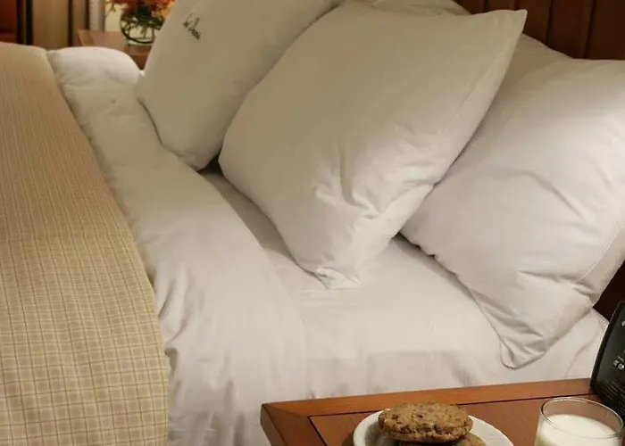 Hotel Doubletree By Hilton Chicago -